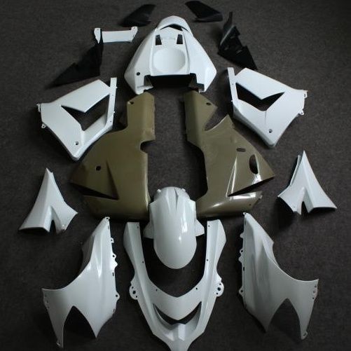 ABS  Plastic Injection Raw Blank Fairing Wholesale  for Kawasaki 10R 2005 Motorcycle Fairing Kit